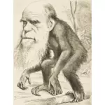 Charles Darwin opice