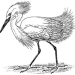 Egret promenader