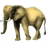 पीले रंग में रंग का हाथी