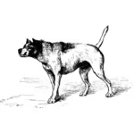 Векторный рисунок собака приближается к другой собаки с враждебными намерениями