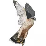 Ilustración de vector de halcón Esmerejón