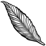 Outlined feather