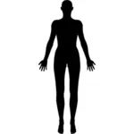 صورة ظلية لجسد الإناث