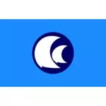 Vlajka Kasumigaura města, Ibaraki