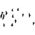 Flock of birds image