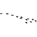 Kawanan terbang angsa vektor silhouette