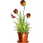 Tulip pot