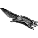 Esquilo voador