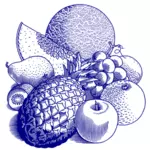 Diverse vruchten illustratie
