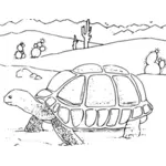 Turtle in desert coloring book vector drawing