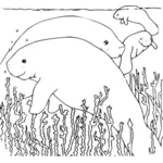 Lamantin natation illustration vectorielle de ligne art