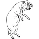 Vector drawing of scared pig