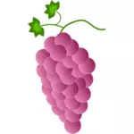 Pink grapes