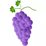 Fioletowy winogron