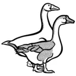 Geese from coloring book