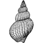 האיור של gastropod