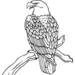 Vulturul pleşuv vector imagine
