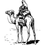 Mies ratsastaa kamelin vektori kuva