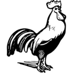 Outline vector drawing of rooster