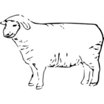 Linha arte gráfica de ovelhas