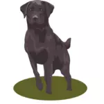 Черный лаборатории собака векторное изображение