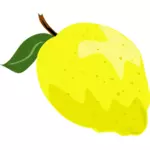 الليمون أو الليمون الرسومات المتجهة مع ورقة