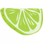 Lime vector illustrasjon