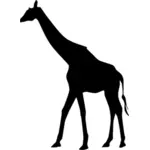Walking giraffe silhouette