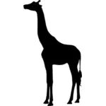 Silueta vektor žirafa