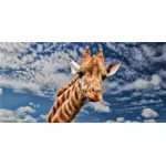 Vektorgrafik von Strichgrafiken fleckig giraffe