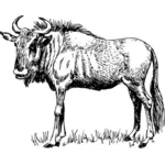 GNU gambar