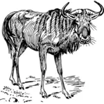 Illustrazione di GNU