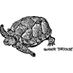 Gopher schildpad