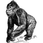 Gorila obrázek