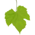 Image vectorielle de feuille de vigne