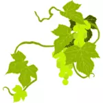 Ilustrasi anggur