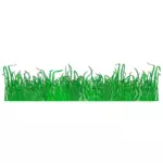 Trawy na trawniku