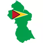 Guyana's flag