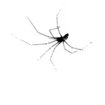 Vector de la imagen de araña fotocopiada