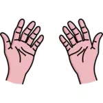 Imagem vetorial de abrir as palmas das mãos