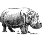 Imagine de vector hipopotam