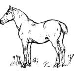 Vecteur, dessin de cheval drôle en niveaux de gris