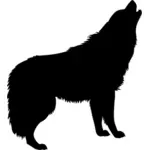 Schwarzer wolf