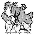 Família de frango