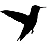 صورة ظلية الطائر الطنان