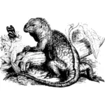 Ilustracja wektorowa Iguana i motyl