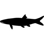 Shark silhouette image