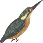 Uccello del Martin pescatore in immagine di vettore di colore pieno
