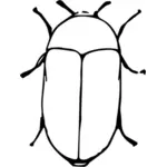 Escarabajo de la despensa