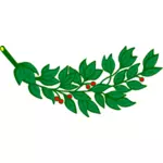 Laurel cabang dengan buah merah vektor gambar
